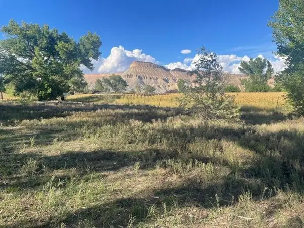 3463 Grand Valley Canal Road, Clifton, CO 81520