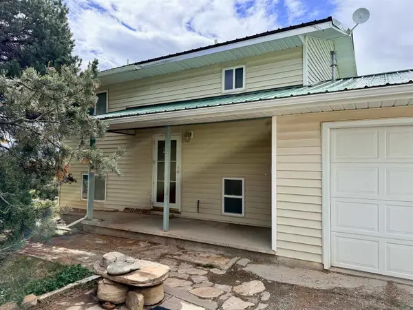 20 Pioneer Circle, Norwood, CO 81423