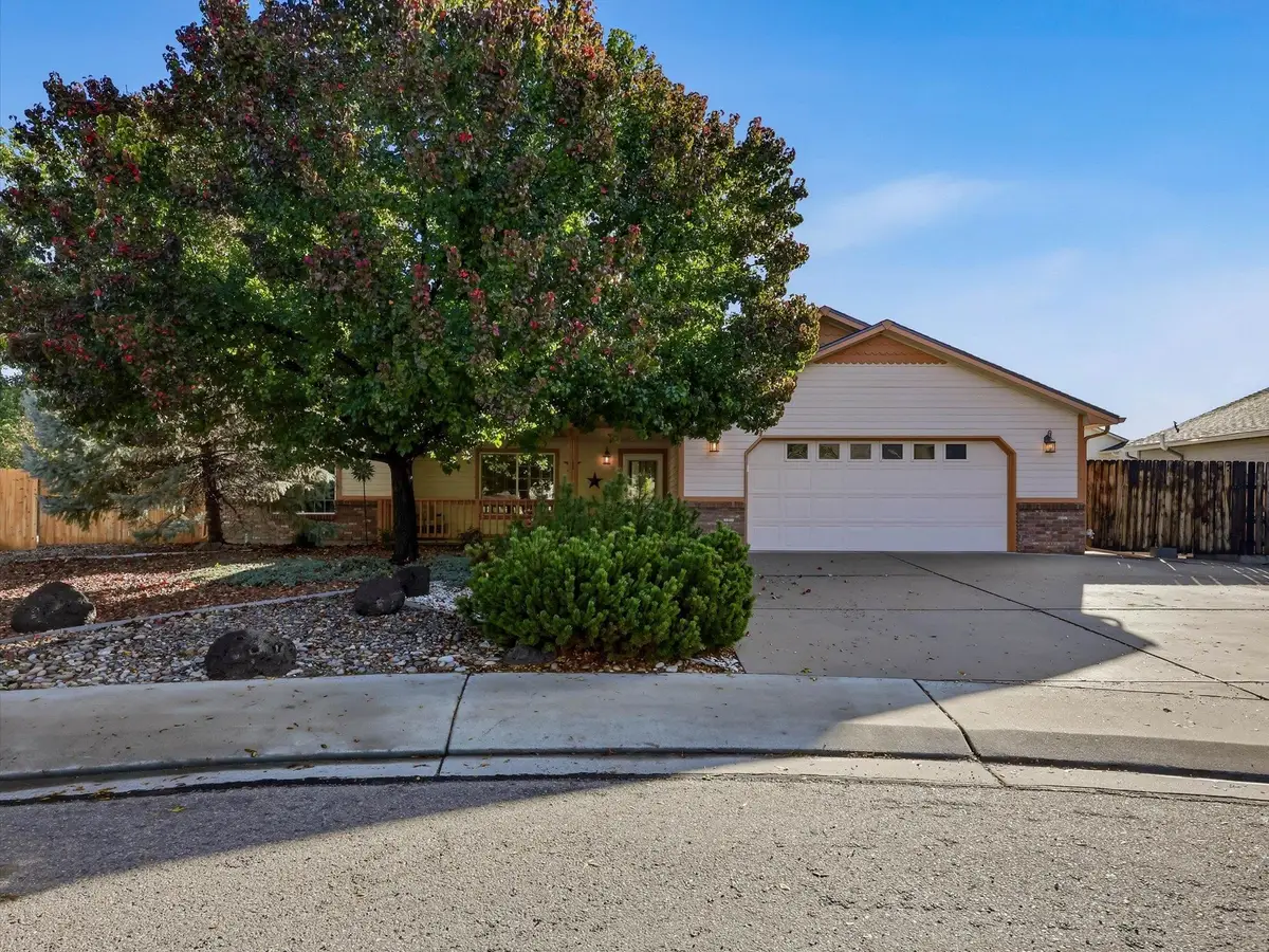 462 Amelia Rose Court, Fruita, CO 81521 - #1