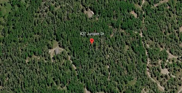 427 Juniper Drive, Cimarron, CO 81220