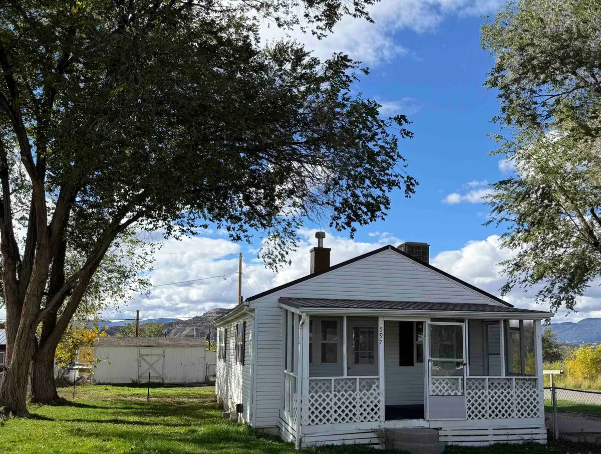 597 Greig Avenue, De Beque, CO 81630 - #1