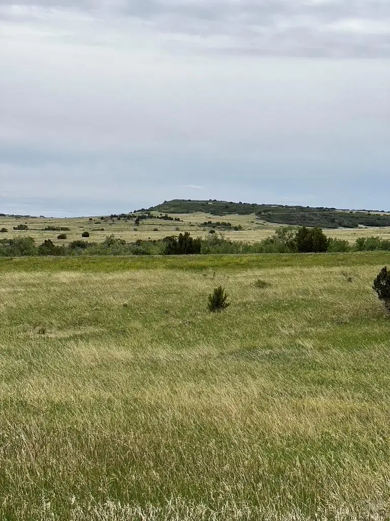 6268 Geronimo Rd, Colorado City, CO 81019 - #3