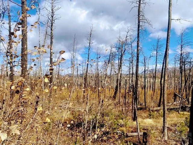 000 Galbreth Rd, Fort Garland, CO 81133 - #1