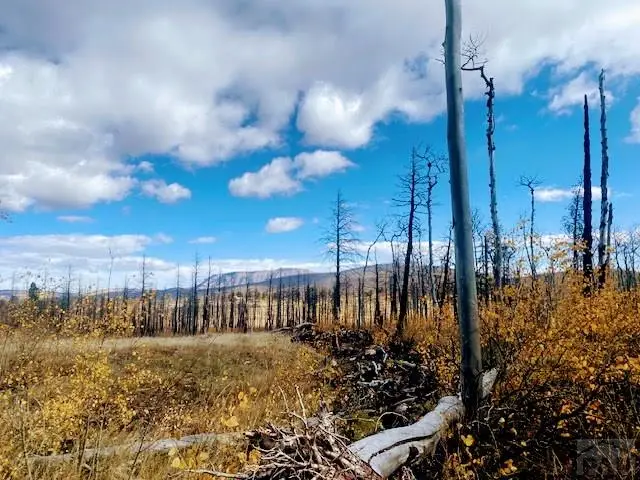 000 Galbreth Rd, Fort Garland, CO 81133 - #3