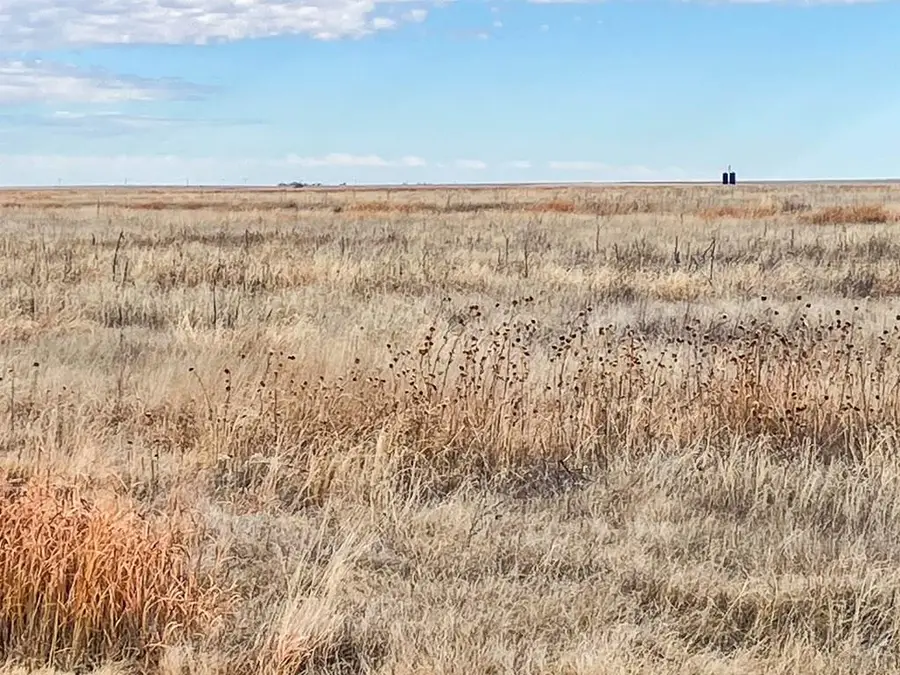 NA County Rd 26, Two Buttes, CO 81084 - Image #2