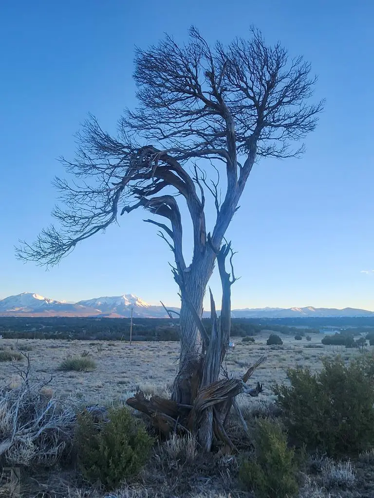 TBD Choctaw Dr, Walsenburg, CO 81089 - Image #1