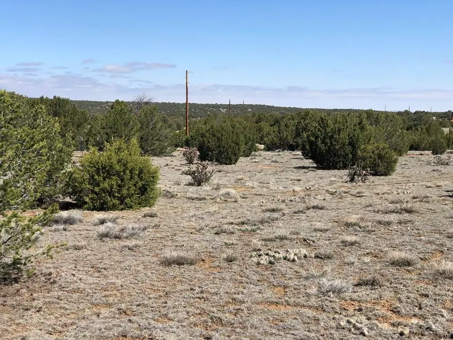 Lot 936 Rio Cucharas, Walsenburg, CO 81089 - #2
