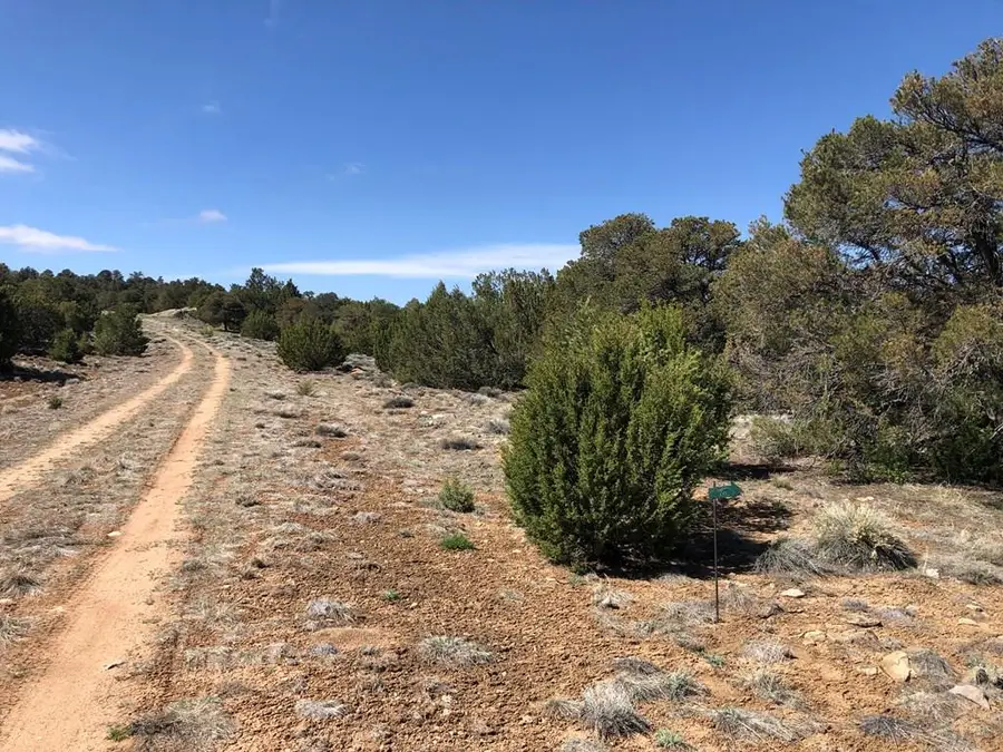 Lot 936 Rio Cucharas, Walsenburg, CO 81089 - #3