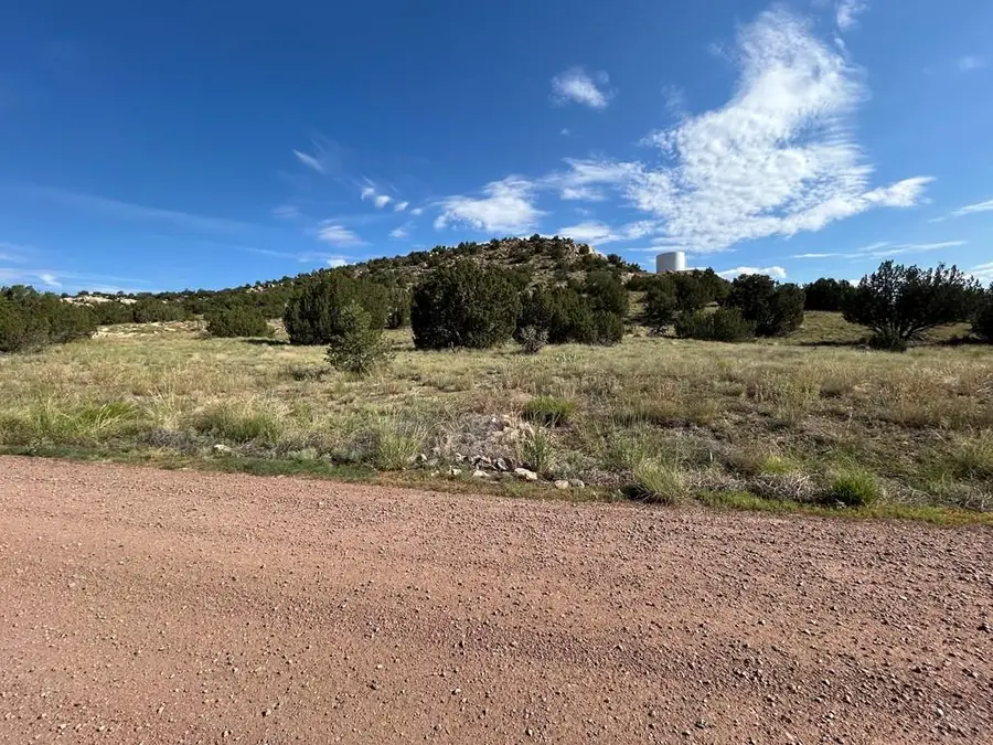 110 Hideaway Trail, Rockvale, CO 81244 - Image #2