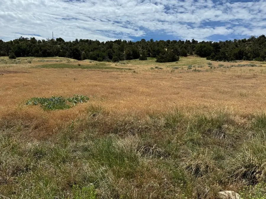 TBD Badger Rd, Walsenburg, CO 81089 - #2