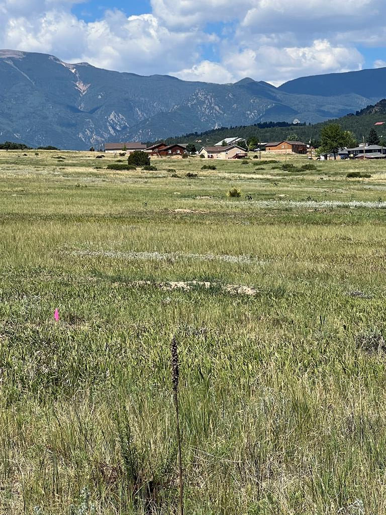 Lot 388 Arapahoe Dr, Colorado City, CO 81019 - Image #1