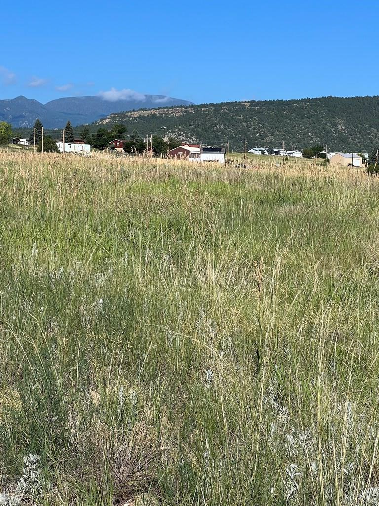 Lot 453 Las Animas Way, Colorado City, CO 81019 - Image #3