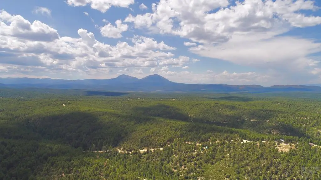 000 Cirrus Way, Trinidad, CO 81082 - #1