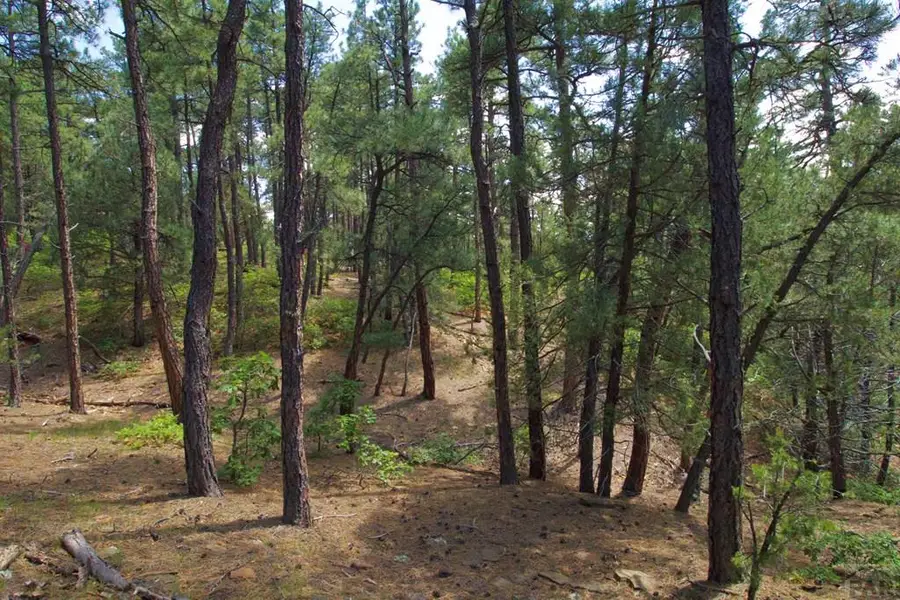 000 Cirrus Way, Trinidad, CO 81082 - #3