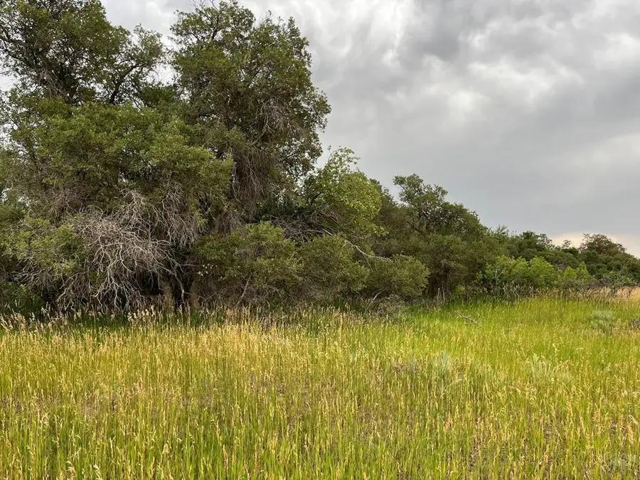 TBD Barry Court, Colorado City, CO 81019 - Image #2