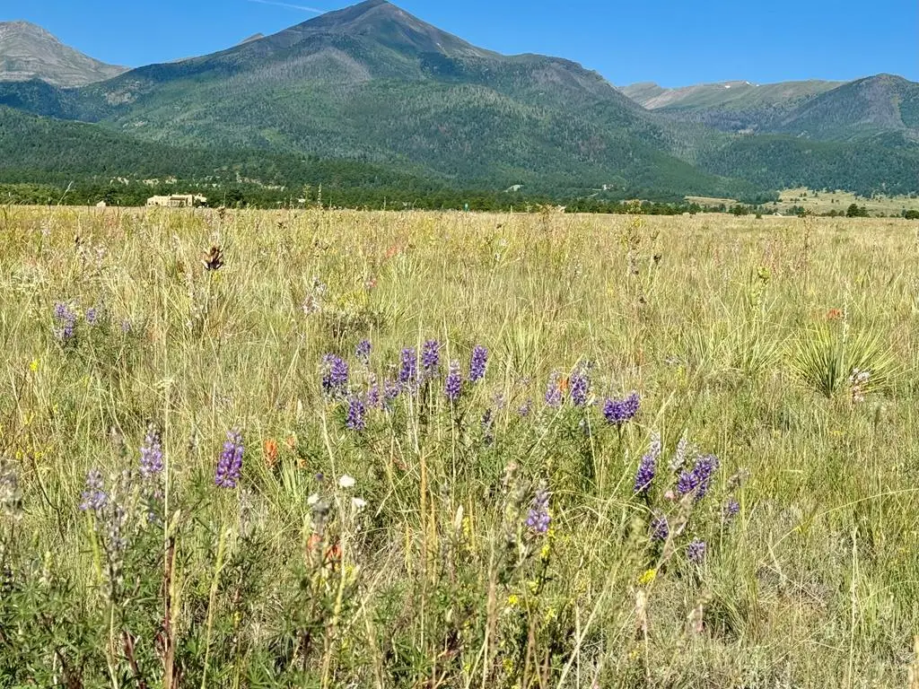 5151 County Rd 160, Westcliffe, CO 81252 - #1