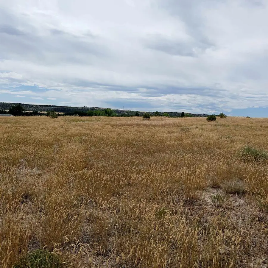 Lot 1098 Plum Creek Way, Colorado City, CO 81019 - Image #3
