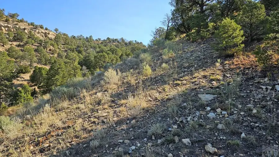 000 County Rd 53.5, Trinidad, CO 81082 - Image #2