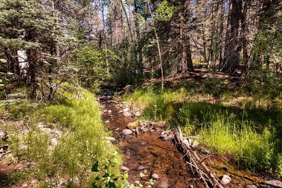 000 County Rd 46, Aguilar, CO 81020 - Image #2