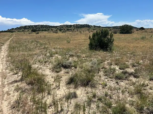 Lot 17 Long Horn Ranch, Model, CO 81059