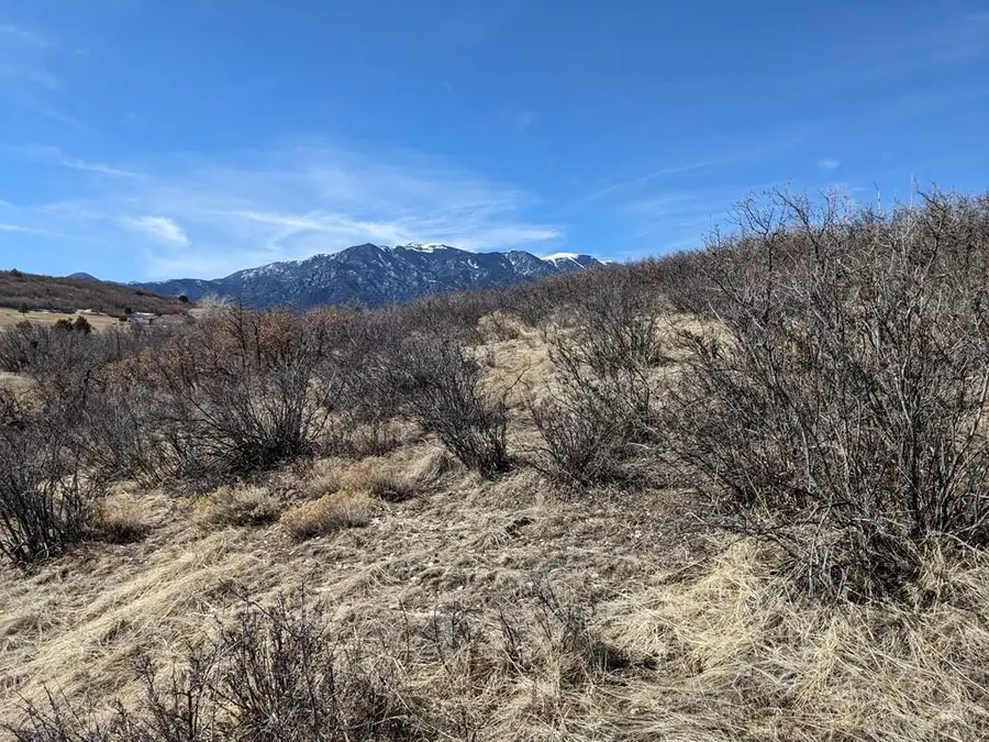 TBD Avis Pl, Colorado City, CO 81019 - Image #3