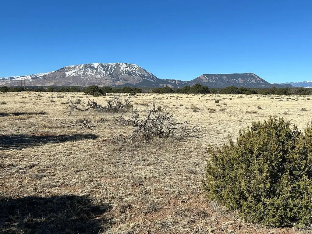 Lot 62 Colorado Land And Grazing, Gardner, CO 81040 - Image #1