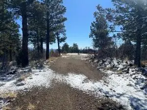 14333 North Ridge, Weston, CO 81091 - Image #3