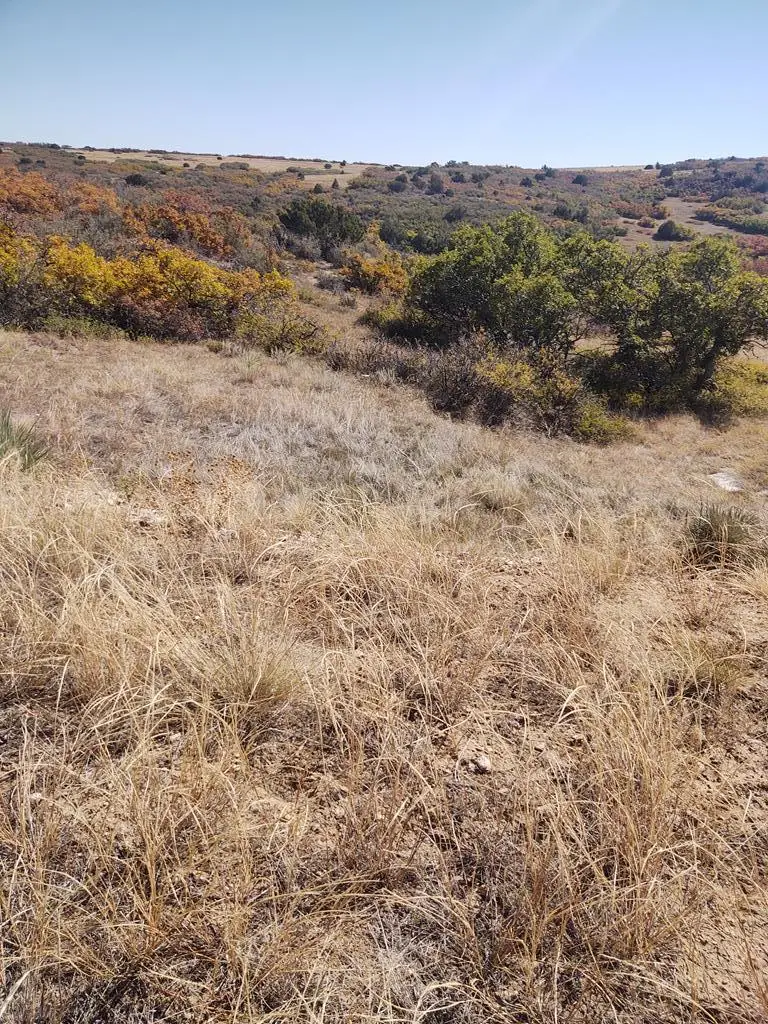 TBD Fort Scott, Colorado City, CO 81019 - Image #1