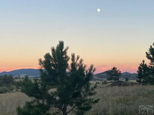 1043 Running Bear Rd, Hartsel, CO 80449 - Image #3