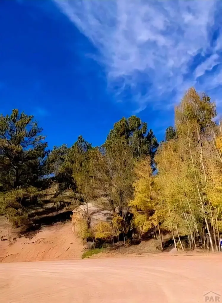 864 Wellington Dr, Cripple Creek, CO 80813 - Image #2