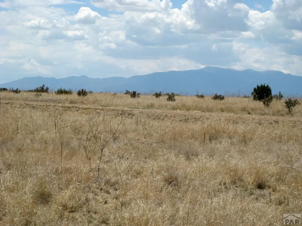 Lot 4 Cedarwood Station, Rye, CO 81069 - Image #1