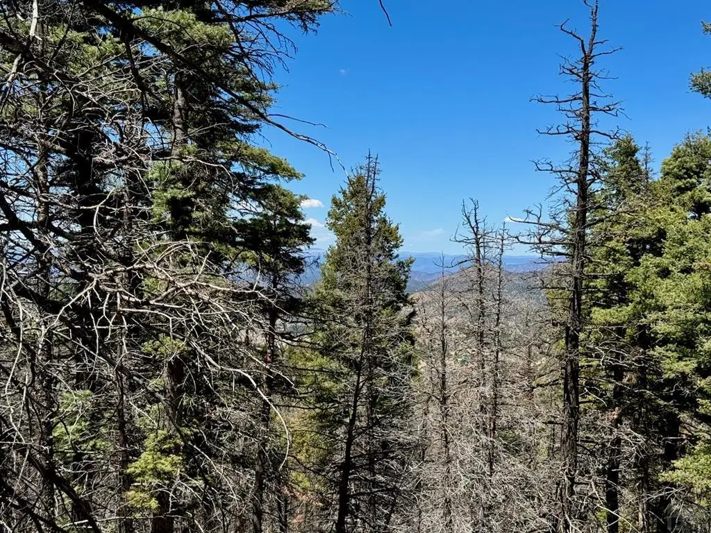 TBD Derigo Ln, Westcliffe, CO 81252 - Image #1