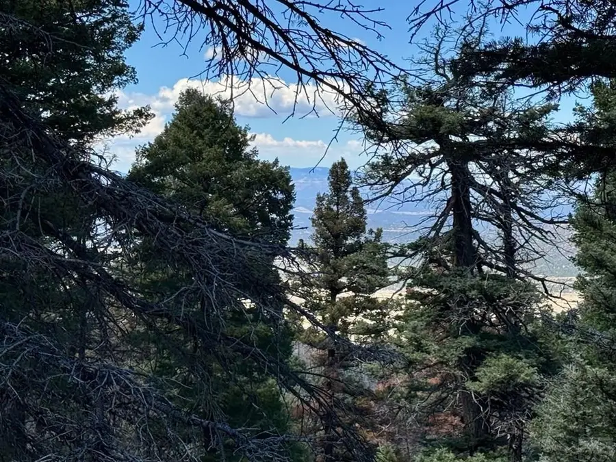 TBD Derigo Ln, Westcliffe, CO 81252 - Image #3