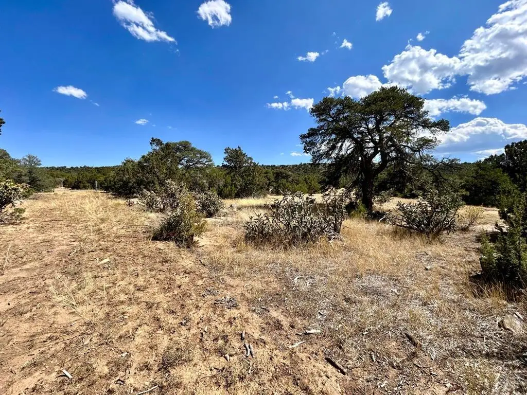 Lot 919 Los Vaqueros Cir., Walsenburg, CO 81089 - #1