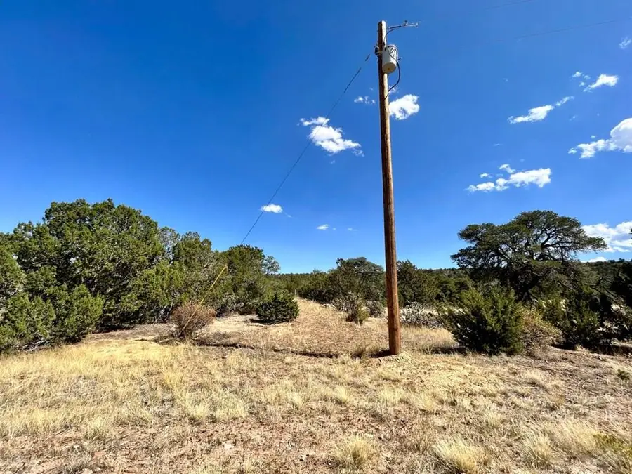 Lot 919 Los Vaqueros Cir., Walsenburg, CO 81089 - #3