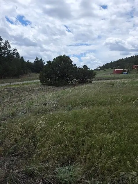 8099 County Rd 28, Cotopaxi, CO 81223 - Image #2