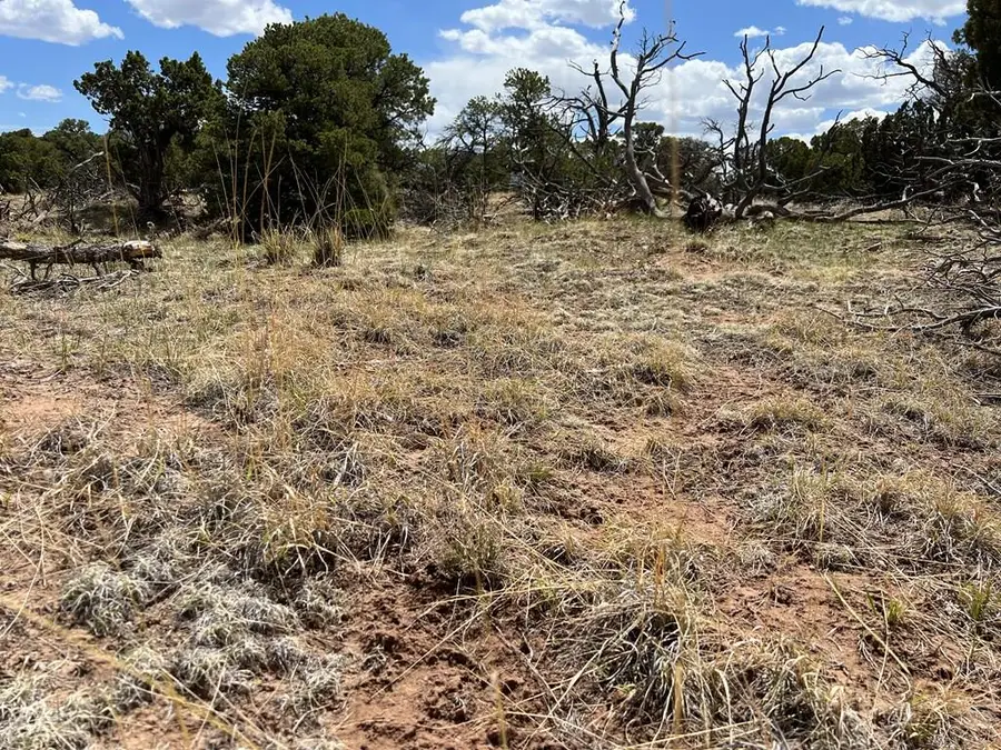 27 Colorado Land And Grazing, Gardner, CO 81040 - Image #2