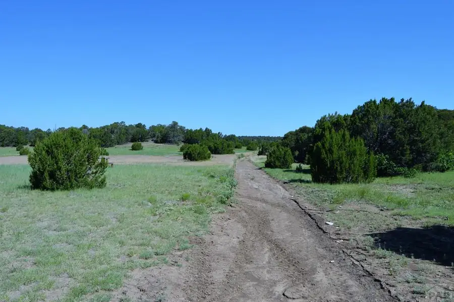 205 Hoofprint Court, Walsenburg, CO 81089 - Image #2