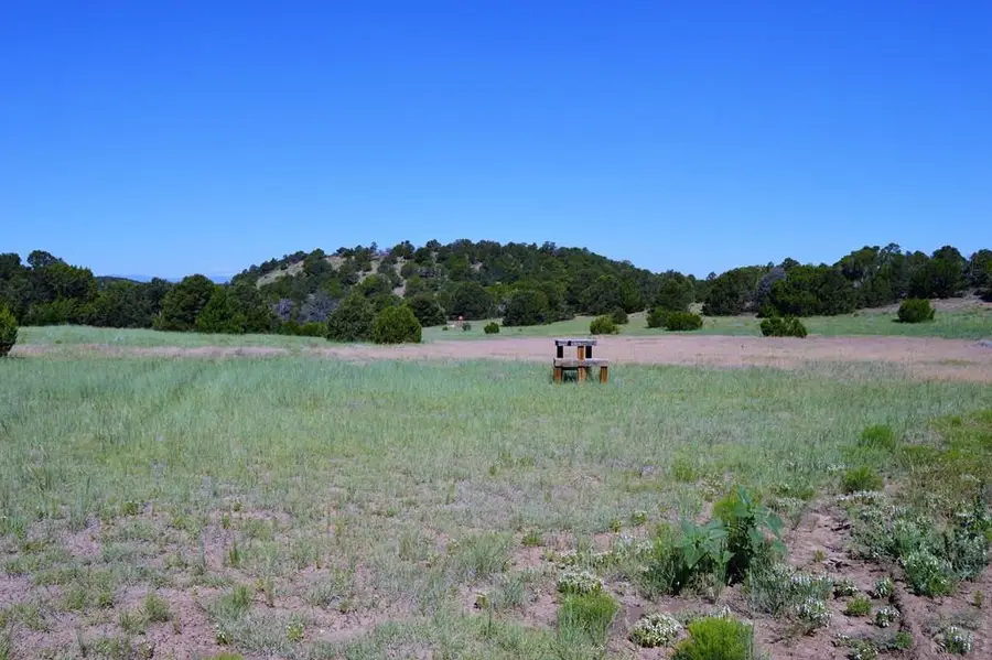 205 Hoofprint Court, Walsenburg, CO 81089 - Image #3