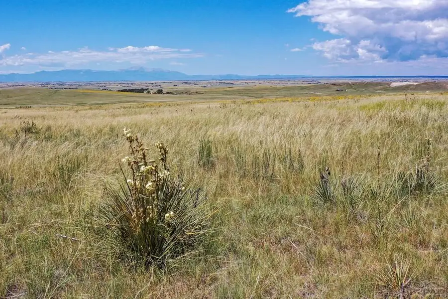 TBD Soapweed, Calhan, CO 80808 - Image #3