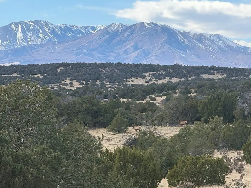 TBD County Rd 521.3, Walsenburg, CO 81089 - #1