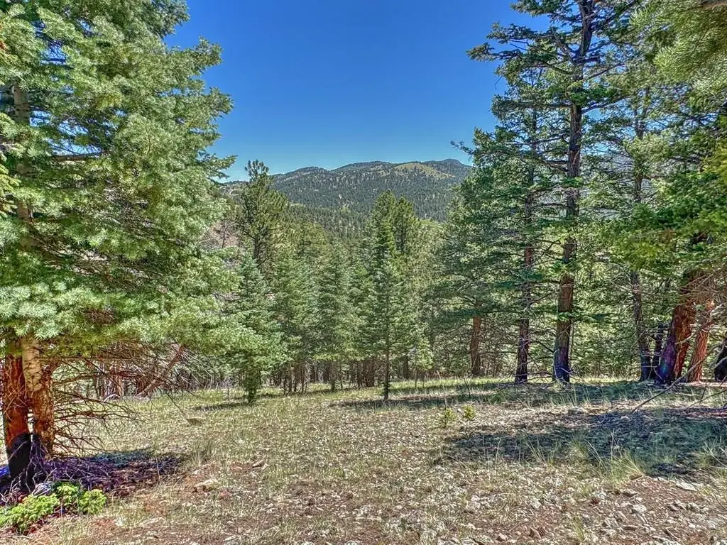96 N Matterhorn Circle, Westcliffe, CO 81252 - #1
