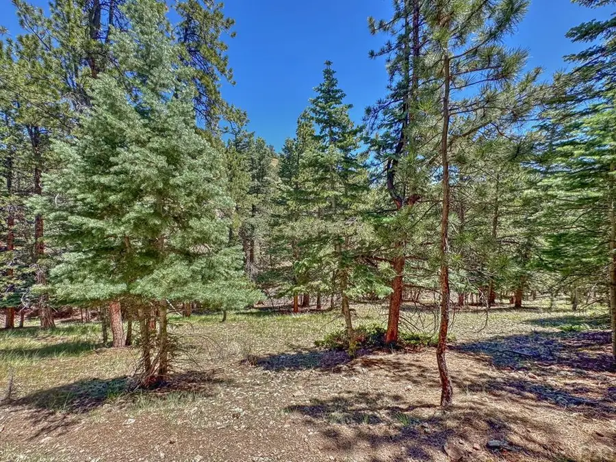 96 N Matterhorn Circle, Westcliffe, CO 81252 - #2