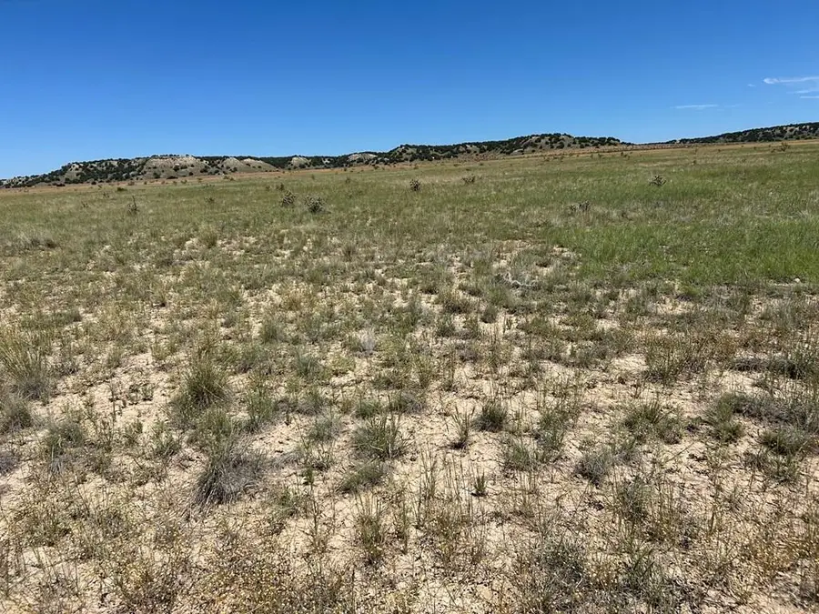 Lot 4 Outback Ranch, Model, CO 81059 - Image #2