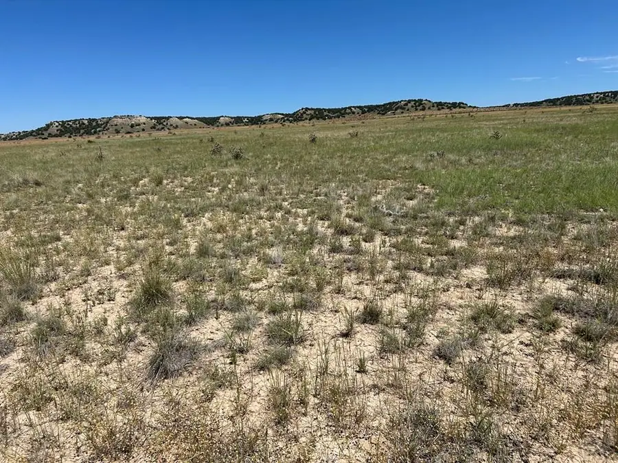 Lot 4 Outback Ranch, Model, CO 81059 - Image #3