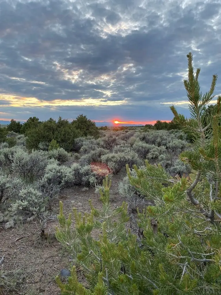 LOT 33 N Melby Ranch Rd, San Luis, CO 81152 - #2