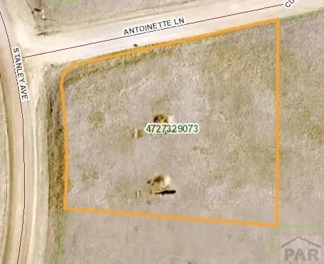 5003 Antoinette Lane, Colorado City, CO 80819 - Image #3