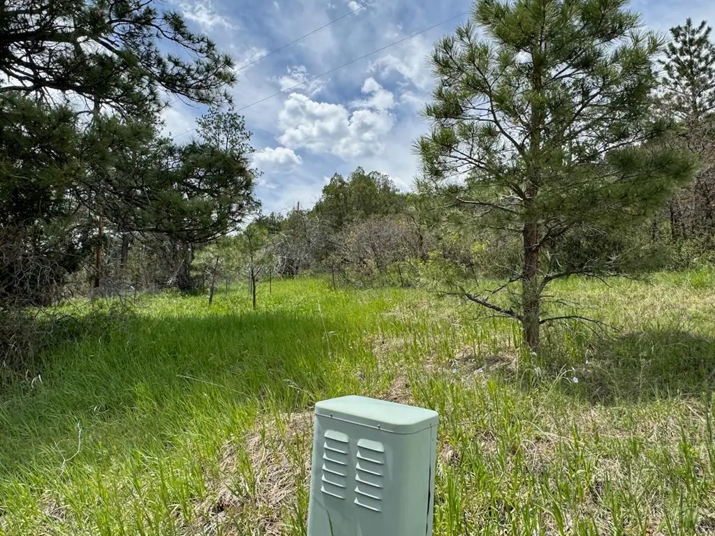 TBD-2 Vine Mesa Ave, Beulah, CO 81023 - Image #1