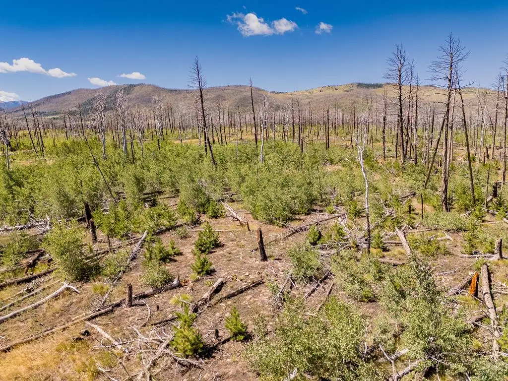 Lot 1596 Douglas Lane, Fort Garland, CO 81133 - Image #1