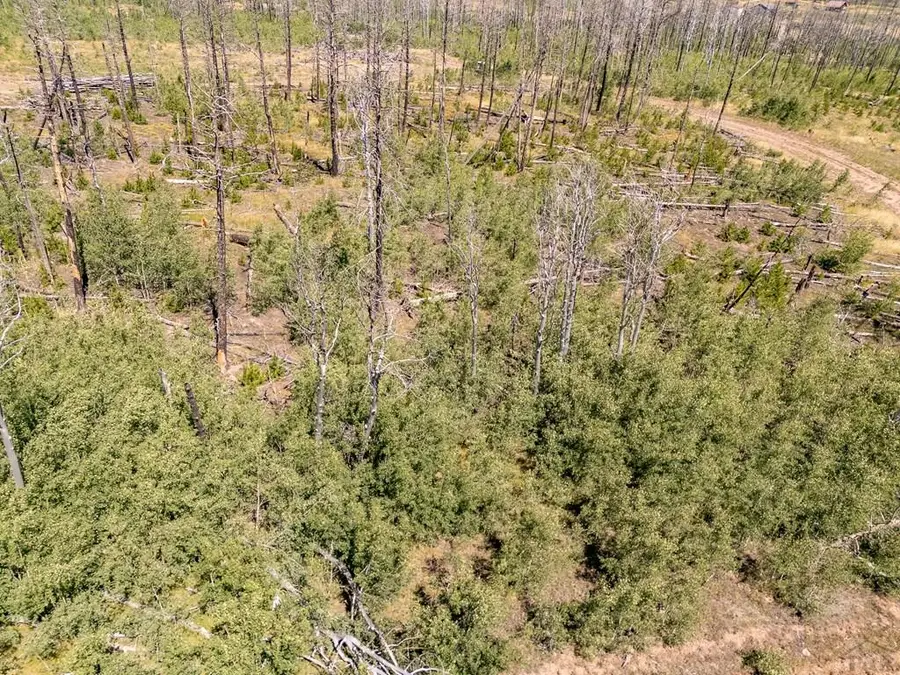 Lot 1596 Douglas Lane, Fort Garland, CO 81133 - Image #3
